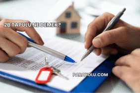 2B Tapulu Ne Demek?