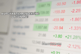 AVPGY Katılım Endeksine Uygun mu?
