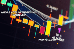 Ahgaz Katılım Endeksine Uygun mu?