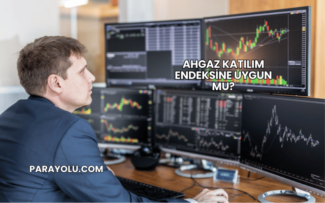 Ahgaz Katılım Endeksine Uygun mu?