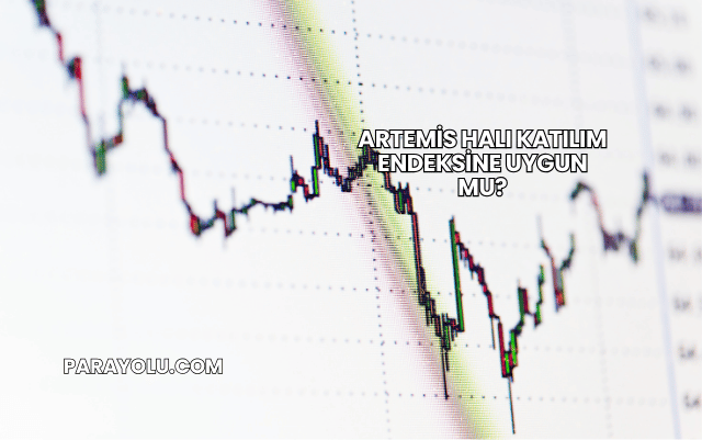 Artemis Halı Katılım Endeksine Uygun mu?