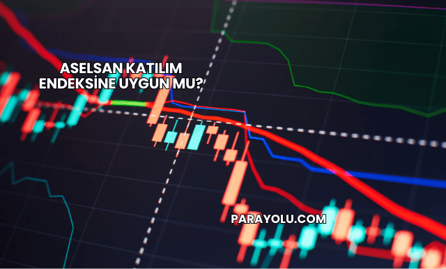 Aselsan Katılım Endeksine Uygun mu?
