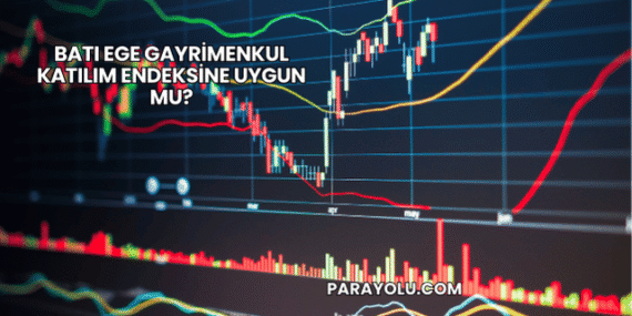 Batı Ege Gayrimenkul Katılım Endeksine Uygun mu?