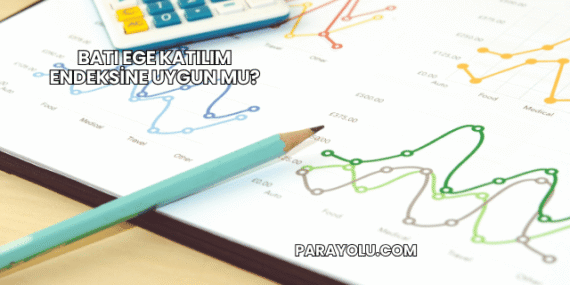 Batı Ege Katılım Endeksine Uygun mu?