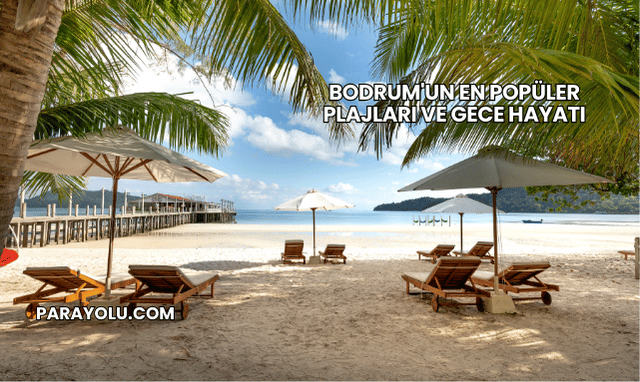 Bodrum'un En Popüler Plajları ve Gece Hayatı
