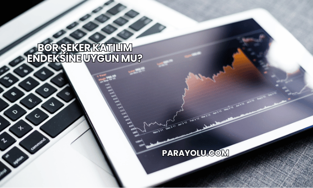Bor Şeker Katılım Endeksine Uygun mu?