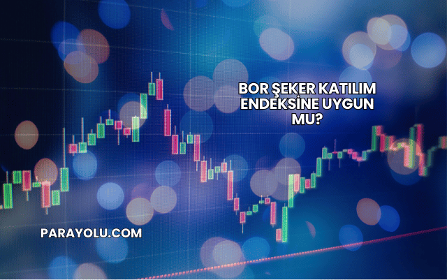 Bor Şeker Katılım Endeksine Uygun mu?