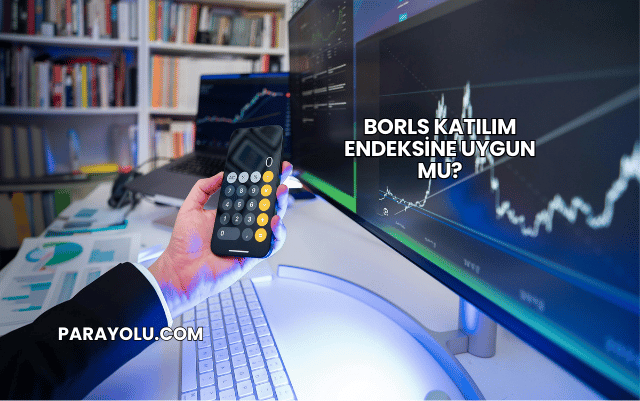 Borls Katılım Endeksine Uygun mu?