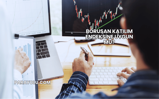 Borusan Katılım Endeksine Uygun mu?