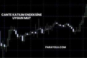 CANTE Katılım Endeksine Uygun mu?