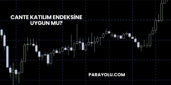 CANTE Katılım Endeksine Uygun mu?