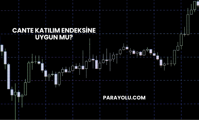 CANTE Katılım Endeksine Uygun mu?