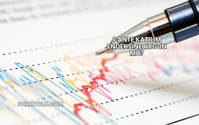 CANTE Katılım Endeksine Uygun mu?