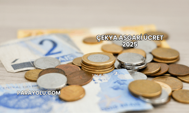 Çekya Asgari Ücret 2025