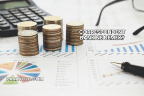 Correspondent Bank Ne Demek?