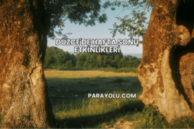 Düzce'de Hafta Sonu Etkinlikleri