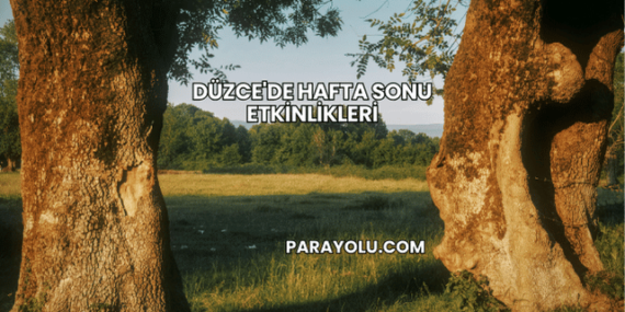 Düzce’de Hafta Sonu Etkinlikleri