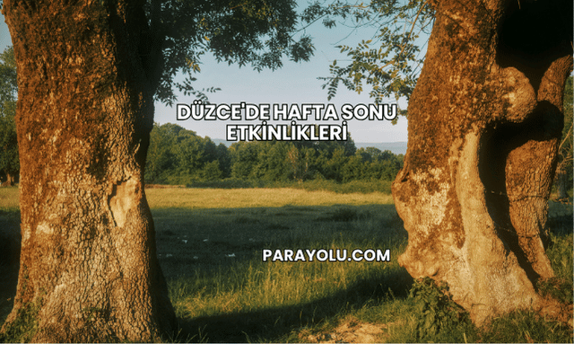 Düzce'de Hafta Sonu Etkinlikleri
