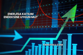 Enerjisa Katılım Endeksine Uygun mu?