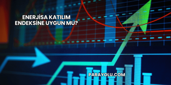 Enerjisa Katılım Endeksine Uygun mu?