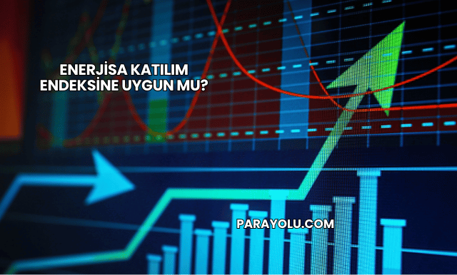 Enerjisa Katılım Endeksine Uygun mu?