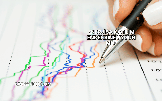 Enerjisa Katılım Endeksine Uygun mu?