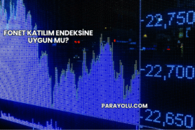 Fonet Katılım Endeksine Uygun mu?