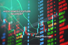 Hisse Senedi Çeşitleri Nelerdir?