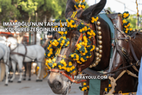 İmamoğlu'nun Tarihi ve Kültürel Zenginlikleri