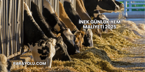 İnek Günlük Yem Maliyeti 2025