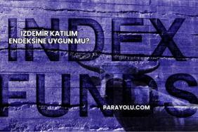 İzdemir Katılım Endeksine Uygun mu?