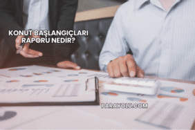 Konut Başlangıçları Raporu Nedir?