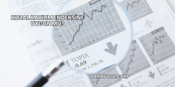 Kozal Katılım Endeksine Uygun mu?
