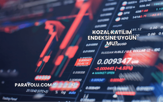 Kozal Katılım Endeksine Uygun mu?