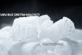 Kuru Buz Üretim Maliyeti