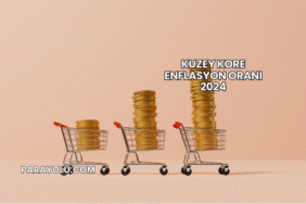 Kuzey Kore Enflasyon Oranı 2024