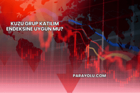 Kuzu Grup Katılım Endeksine Uygun mu?