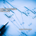 Limak Katılım Endeksine Uygun mu?