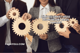 Limited Şirket Hisse Devri Nedir? Nasıl Yapılır?