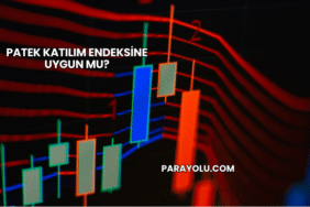 Patek Katılım Endeksine Uygun mu?