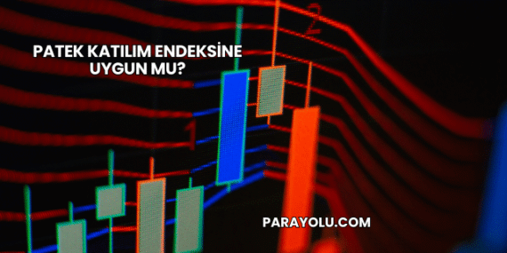Patek Katılım Endeksine Uygun mu?