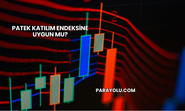 Patek Katılım Endeksine Uygun mu?
