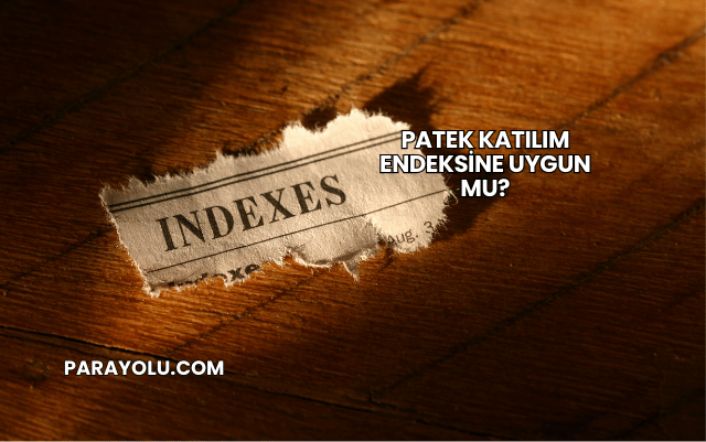 Patek Katılım Endeksine Uygun mu?