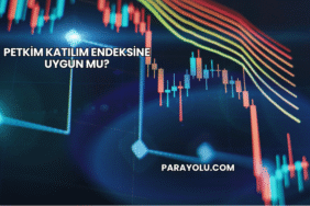 Petkim Katılım Endeksine Uygun mu?