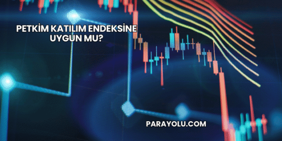 Petkim Katılım Endeksine Uygun mu?
