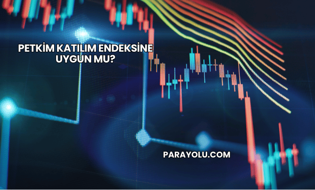 Petkim Katılım Endeksine Uygun mu?