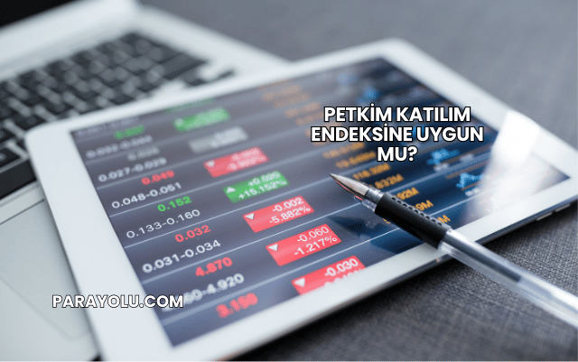 Petkim Katılım Endeksine Uygun mu?