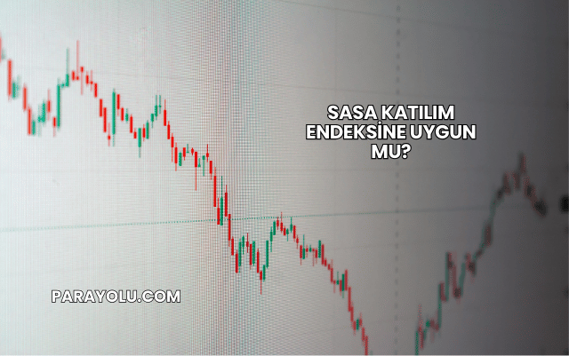 Sasa Katılım Endeksine Uygun mu?