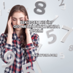 Sekizgen Nedir? Geometri Dünyasında Önemi