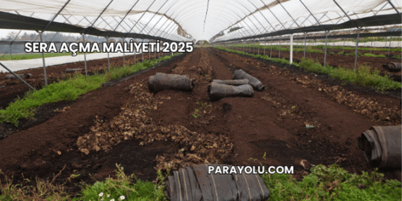 Sera Açma Maliyeti 2025